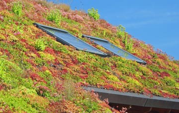 Middlethorpe living roof systems